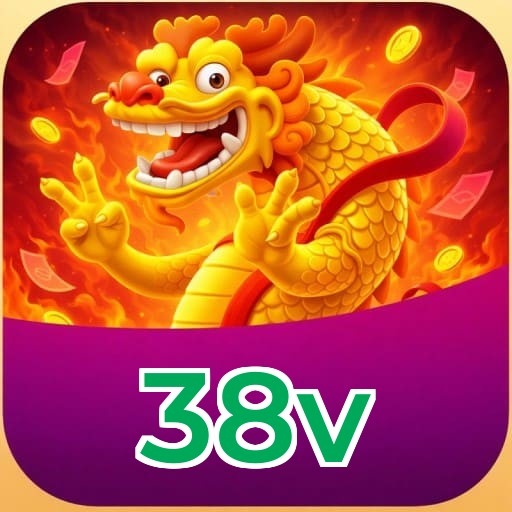 38v VIP Program